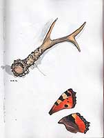 Abwurfstange und Schmetterlingsflügel